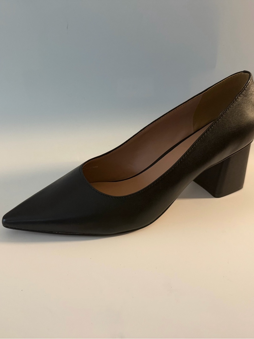 Paolo Black Pointed Block Heel Pump